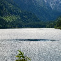 DSC 0023